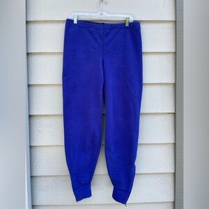 Patagonia Fleece Pants with Ankle Zippers, Waist 34”, Inseam 29”, Rise 12”, Blue